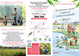 Les Prairies Du