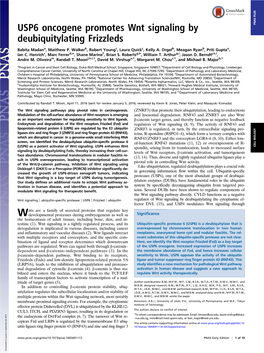 USP6 Oncogene Promotes Wnt Signaling by Deubiquitylating