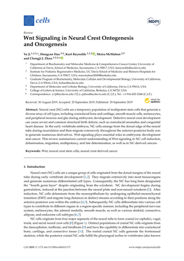 Wnt Signaling in Neural Crest Ontogenesis and Oncogenesis