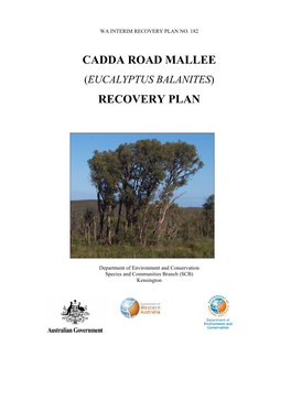 Eucalyptus Balanites Interim Recovery Plan 2004-2009