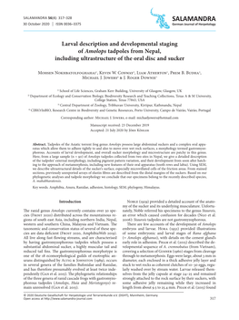 Larval Description and Developmental Staging of Amolops Tadpoles from Nepal, Including Ultrastructure of the Oral Disc and Sucker