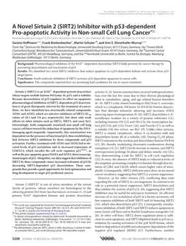 A Novel Sirtuin 2 (SIRT2) Inhibitor with P53-Dependent Pro-Apoptotic