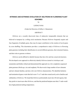 INTRINSIC and EXTRINSIC EVOLUTION of HELITRONS in FLOWERING PLANT GENOMES by LIXING YANG (Under the Direction of Jeffrey L. Benn