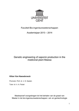 Genetic Engineering of Saponin Production in the Medicinal Plant Maesa