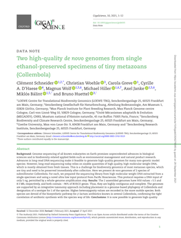 Two High-Quality De Novo Genomes from Single Ethanol-Preserved Specimens of Tiny Metazoans