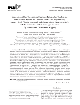 Comparison of the Chromosome Structures Between the Chicken