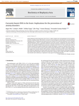 Curcumin Boosts DHA in the Brain: Implications for the Prevention of Anxiety Disorders