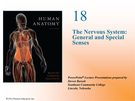 The Nervous System: General and Special Senses
