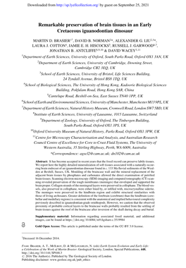 Remarkable Preservation of Brain Tissues in an Early Cretaceous Iguanodontian Dinosaur