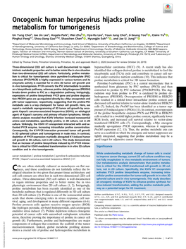 Oncogenic Human Herpesvirus Hijacks Proline Metabolism for Tumorigenesis