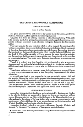 Nomen Novum), Preferred a Spelling, It Is a Case Touching the What Ticklish Question of Defining More Exactly Is a Different Name in the Nomenclatural