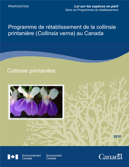 Collinsie Printanière (Collinsia Verna) Au Canada