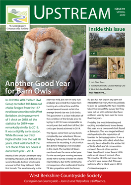 Another Good Year for Barn Owls