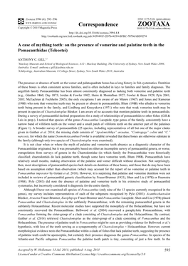 On the Presence of Vomerine and Palatine Teeth in the Pomacanthidae (Teleostei)