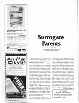 Surrogate Sheet Metal Trays