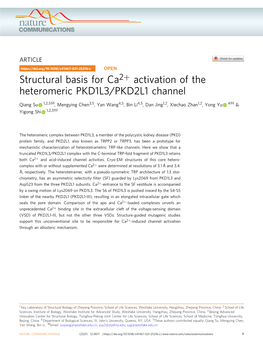 Structural Basis for Ca2+ Activation of the Heteromeric PKD1L3/PKD2L1