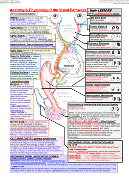 Anatomy & Physiology of the Visual Pathways , Their LESIONS