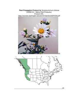 Plant Propagation Protocol for Symphyotrichum Chilense ESRM 412 – Native Plant Production Protocol URL