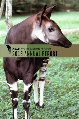 2018 OCP Annual Report