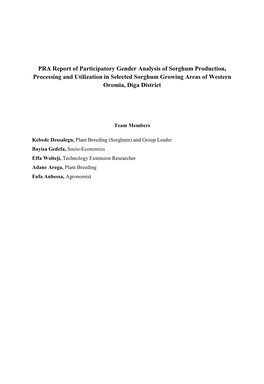 PRA Report of Participatory Gender Analysis of Sorghum Production, Processing and Utilization in Selected Sorghum Growing Areas of Western Oromia, Diga District