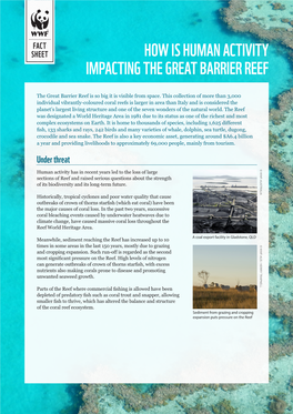 Fact Sheet: How Is Human Activity Impacting the Great Barrier Reef