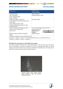 SPECIES INFORMATION SHEET Vitreolina Philippi