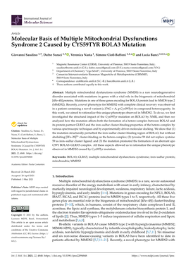 Molecular Basis of Multiple Mitochondrial Dysfunctions Syndrome 2 Caused by CYS59TYR BOLA3 Mutation