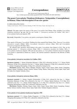 The Genus Conocephalus Thunberg (Orthoptera: Tettigoniidae: Conocephalinae) in Hainan, China with Description of One New Species