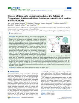 Clusters of Nanoscale Liposomes Modulate the Release Of