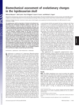 Biomechanical Assessment of Evolutionary Changes in the Lepidosaurian Skull