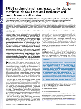 TRPV6 Calcium Channel Translocates to the Plasma Membrane Via Orai1-Mediated Mechanism and Controls Cancer Cell Survival