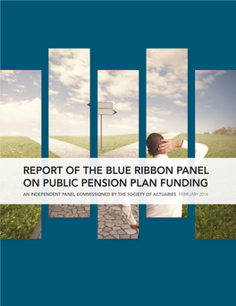 Report of the Blue Ribbon Panel on Public Pension Plan Funding