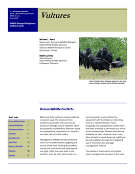 Vultures (PDF)