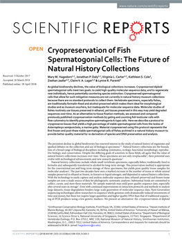 Cryopreservation of Fish Spermatogonial Cells: the Future of Natural History Collections Received: 3 October 2017 Mary M