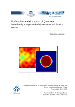 Nuclear Pasta with a Touch of Quantum Towards Fully Antisymmetrised Dynamics for Bulk Fermion Systems