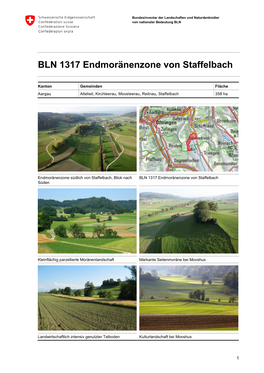BLN 1317 Endmoränenzone Von Staffelbach