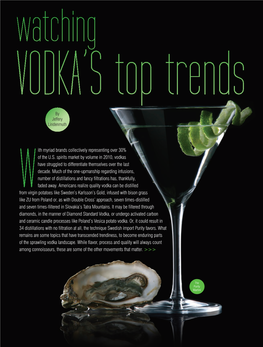 With Myriad Brands Collectively Representing Over 30% of the U.S. Spirits Market by Volume in 2010, Vodkas Have Struggled To