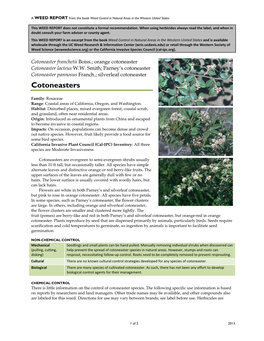 Cotoneaster Franchetii Boiss.; Orange Cotoneaster Cotoneaster Lacteus W.W