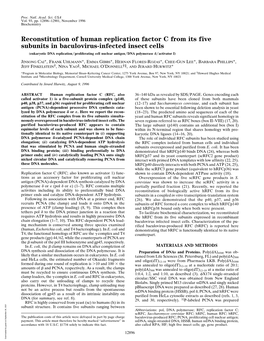 Reconstitution of Human Replication Factor C from Its Five Subunits in Baculovirus-Infected Insect Cells