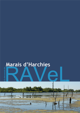 Marais D'harchies