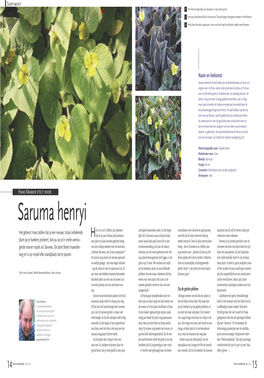 TEL Saruma Henryi 9/2013