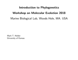 Introduction to Phylogenetics Workshop on Molecular Evolution 2018 Marine Biological Lab, Woods Hole, MA