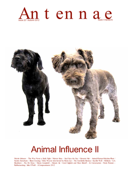 Animal Influence II