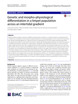 Genetic and Morpho-Physiological Differentiation in a Limpet Population