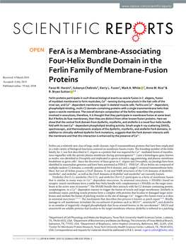 Fera Is a Membrane-Associating Four-Helix Bundle