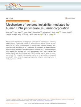 Mechanism of Genome Instability Mediated by Human DNA Polymerase Mu Misincorporation