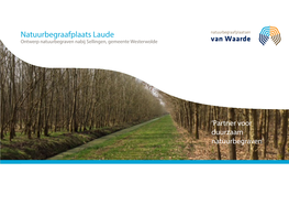 Natuurbegraafplaats Laude Ontwerp Natuurbegraven Nabij Sellingen, Gemeente Westerwolde