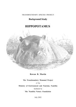 Hippopotamus