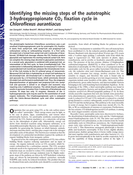 Identifying the Missing Steps of the Autotrophic 3-Hydroxypropionate CO2 Fixation Cycle in Chloroflexus Aurantiacus