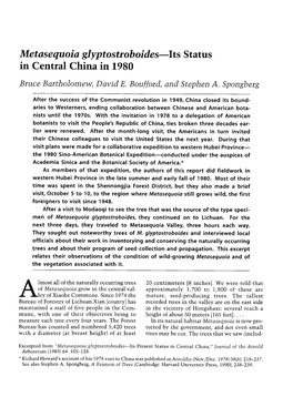 Metasequoia Glyptostroboides-Its Status in Central China in 1980